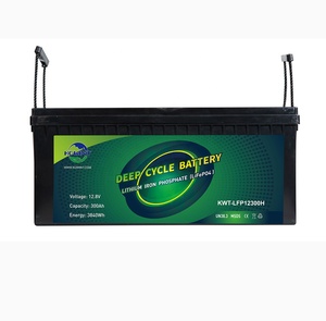 12-<strong>300v</strong> Lithium <strong>Battery</strong> 20amp 12v 24v 8Ah 12Ah 20Ah 50Ah <strong>100Ah</strong> 150Ah 200Ah 300ah Acid <strong>Battery</strong> - Product Image 6