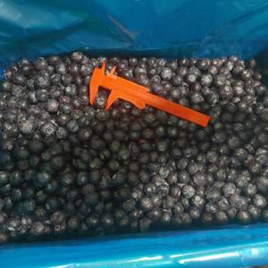 Лидер продаж, Замороженная черника IQF, свежие цены, оптовая продажа, IQF замороженные фрукты - Product Image 4