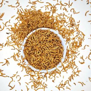 सूखे ब्रेड कीड़े थोक छोटे पशु चिकन पक्षी मछली सरीसृप कछुए भोजन सूखे मेल्वोम - Product Image 2