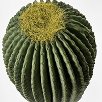 Cactus Colonne Artificiel Haut et Élancé en Pot, Plante Faux Saguaro au Toucher Réel, Décoration pour la Maison, le Salon, le Bureau, Faible Entretien