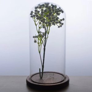 <strong>Glass</strong> <strong>Dome</strong> With Wooden Base <strong>Glass</strong> for Candle Mini <strong>Cake</strong> Stand <strong>Glass</strong> Display <strong>Dome</strong> - Product Image 5