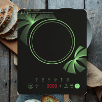 Table de cuisson à induction de haute qualité 1200W-2000W, plaque céramique à brûleur unique, boîtier électrique, affichage LED, portable pour camping-car, hollandais