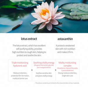 เจเอ็มโซลูชั่น แอคทีฟ โลตัส นอริชชิ่ง มาส์ก อัลติเมท มาส์กหน้าเกาหลี บำรุงผิวหน้า ช่วยเติมความชุ่มชื้น ขายส่ง 1 ชุด 10 ชิ้น - Product Image 6