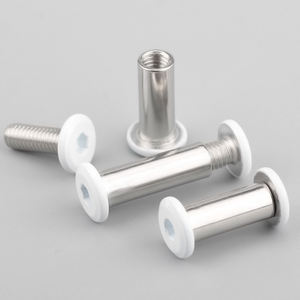 Hoge Kwaliteit Roestvrij Staal Platte Ronde Kop Zeskant Meubels Connector Bouten Schroeven En Mouw Vat Spalk Moer Wit Gelakt - Product Image 3