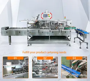 Frozen Dumpling Meat Steak Automatic Flow Carton Packing Machine