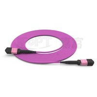 Câble de brassage fibre optique MTP MPO 8, 12, 24 fibres OM3 OM4 Multimode Monomode à faible perte, transmission rapide, pour FTTx FTTH, garantie 1 an