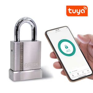 Mok bảo mật cao tuya <span class=keywords><strong>App</strong></span> vân tay Wifi ổ khóa thông minh Hot Bán loại cửa cho cửa thép của nhà sản xuất lựa chọn tốt nhất - Product Image 3