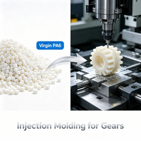 Granulés vierges PA6 Polyamide 6 Nylon pour moulage par injection ISO9001