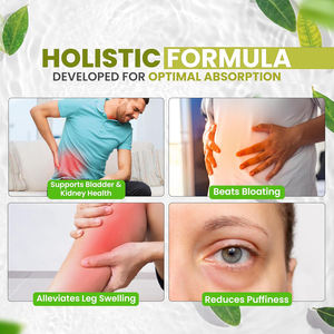 Kapsul OEM Water Flush Kesehatan Saluran Kemih Pembersihan Tubuh, Keseimbangan Air Pembersihan Lembut Ekstrak <span class=keywords><strong>Dandelion</strong></span> Suplemen Herbal - Product Image 6