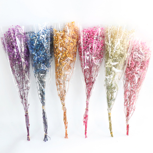 Fleur de Gypsophile Préservée Naturelle Séchée pour Décoration Maison et Mariage – <span class=keywords><strong>Fleurs</strong></span> <span class=keywords><strong>Immortelles</strong></span> Véritables – Support OEM - Product Image 6