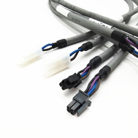 Câble électrique d'usine à bon prix avec connecteur Molex / Faisceau de câbles série 43645