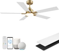 Ventilateur de plafond LED moderne et minimaliste blanc de 52 pouces avec condensateur, vente en gros, éclairage de plafond à économie d'énergie