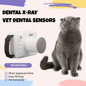Équipement portable de radiologie buccale vétérinaire, système DR dentaire pour animaux, dentisterie vétérinaire - Product Image 4