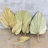 Kipas Daun Palem Kering Terbaru, Promo Panas, Ukuran Dapat Disesuaikan, Bunga Kering, Dekorasi Bunga Pernikahan