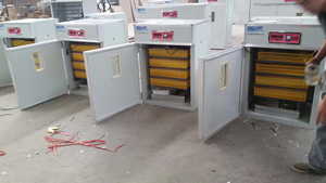 Incubadora automática de <span class=keywords><strong>huevos</strong></span> de gallina de <span class=keywords><strong>Guinea</strong></span> 352 - Product Image 2