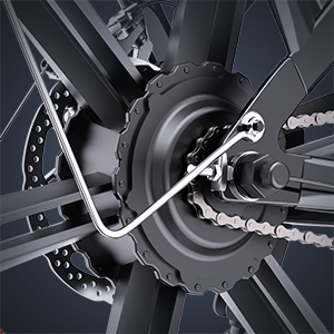 Asiento de Seguridad Infantil de Alta Calidad para Bicicleta con Respaldo, Bicicleta Eléctrica para Adultos con Neumáticos Anchos de Largo Alcance, 15 Ah, 1000 W, 330 LBS, FM-001 - Product Image 4
