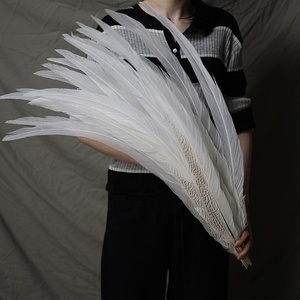 Vente en gros de plumes de faisan argenté de 15 à 80 cm, plumes de faisan blanc pour costumes de <span class=keywords><strong>carnaval</strong></span>, décoration de performance de samba - Product Image 5