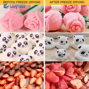 La plus petite machine liquide de dessiccateur de gel de maison de vide pour le café instantané de lait - Product Image 5