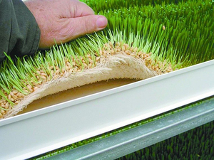 Máquina de forraje hidropónico automática Sistema de forraje de cebada brotada de forraje verde hidropónico por One-One - Product Image 2