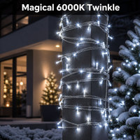 Guirlande lumineuse fluorescente personnalisée IP65 étanche en plastique de 10 m, lumière du jour 6000K, pour extérieur, restaurant, centre commercial, salon