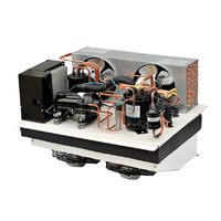 Unité de réfrigération monobloc, congélateur, chambre froide portable, 1hp, 2hp, 4hp