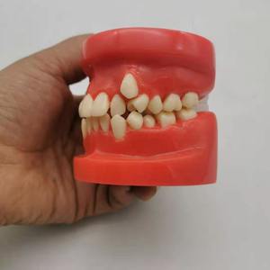 Model gigi ortodontik, kain Resin plastik, tampilan mispenyelaras gigi dengan ruang yang salah - Product Image 3