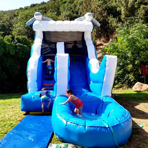 Toboggan aquatique gonflable de qualité commerciale pour enfants, avec piscine, en forme de dauphin, pour fêtes en plein air. - Product Image 1
