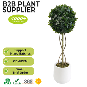 Palla di Bosso Artificiale, <span class=keywords><strong>Albero</strong></span> Finto di Alloro, Decorazione Ecologica per Interni, Casa e Giardino, Ideale per Feste e Paesaggistica - Product Image 2