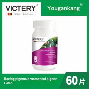 Medicamento para Palomas Yougankang, 60 Tabletas/Botella, Especializado para Palomas de Competición, Problemas Respiratorios por Chlamydia, Resfriados, Cuidado de la Salud - Product Image 2