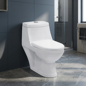 Africa Classic Ceramic One Piece WC P <b>Trap</b> Siphonic Flush Floor Mounted Western Water Closet Toilet - Product Image 3