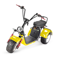 Scooter Eléctrico de 3 Ruedas Citycoco 2026 de 3000w/4000w con Dos Baterías Extraíbles de 60v40H/20AH / Triciclo Eléctrico