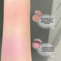 Faiccia Monochrome Powder Blush Professional Makeup ArtistGrade Expanding Contracting Shades Matte Dark Palette Cross-Border