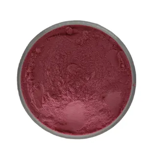 ODM OEM清真最优惠价格速溶巴西莓粉高品质巴西浆果果汁粉