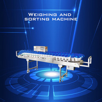 Ligne de tri automatique pour poulets et poissons, machine de tri par poids, acier inoxydable 304, haute efficacité, capacité de 280 kg/h