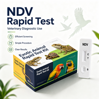 Kit de test rapide pour animaux exotiques (CPS, PBFDV, NDV, Tricho, Crypto) – Cassette de diagnostic vétérinaire pour oiseaux, reptiles et animaux de compagnie – Sans MOQ, échantillon gratuit