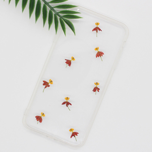 Fiori Secchi Naturali Ecologici per Nail Art: Bloodflower, Milkweed, Butterflyweed, Dancing Flowers, Adesivi per Unghie - Product Image 3