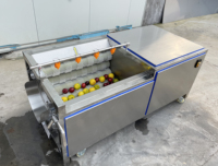 Machine à éplucher les pommes de terre et le manioc 1000 kg/h, éplucheuse continue, machine à laver les légumes, machine commerciale de nettoyage des oranges
