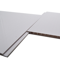 Blanc couleur pvc faux plafond et panneau mural de techo de pvc cielo razo