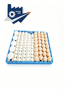 Plato para huevos de gallina, pato, ganso, etc. - Product Image 3