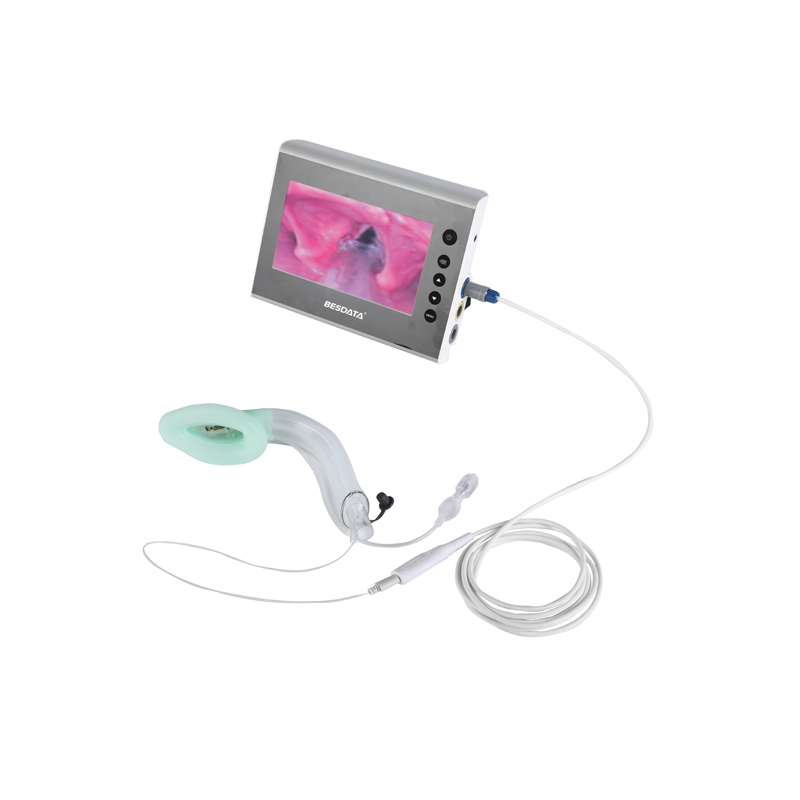 Laryngeal Mask BESDATA Laryngeal Mask Airway