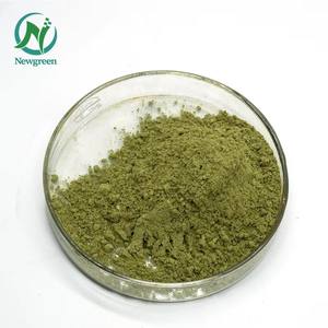 新绿供应优质天然喷雾/冻干有机抹茶粉抹茶粉 - Product Image 2