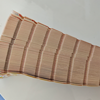 Tiket Permainan Arcade Double Offset Kustom Produsen untuk Tempat Hiburan Skala Besar