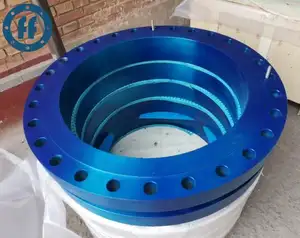 Carbon Steel Flanges Coated With Blue Paint
