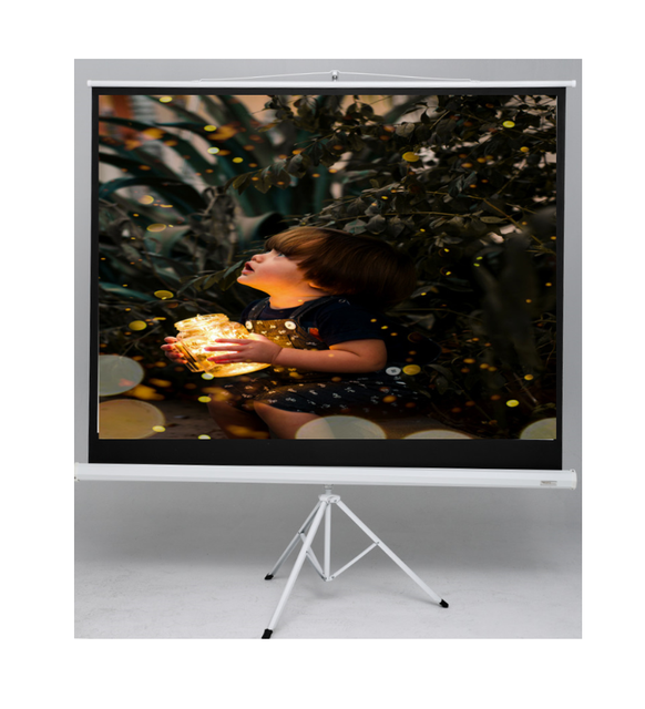 Outdoor Projector Screen, Projector Screen with Stand, 100 Inch Portable Projector Screen Fabric