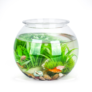 Nobleza 20cm globo di plastica acquario acquario pompa filtro per fiori pesci tartarughe materiale di vetro per soggiorno scatola imballata - Product Image 1