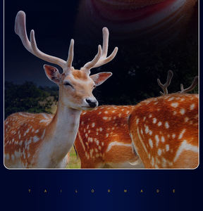 OEM Adult Products Männer Topische Verjüngung Reparatur Penis vergrößerung Verzögerung Massage Gel Reine natürliche Pflanzen Wasserdicht - Product Image 3