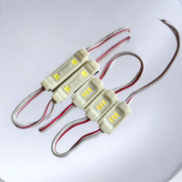 Module LED Mini Haute Luminosité IP65 Étanche DC12 SMD 3014 3 Puces CE Rohs pour Signalisation Extérieure et Petites Lettres de Canal