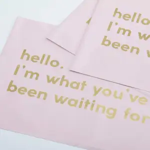 Bolsas de correo rosa para ropa con logo