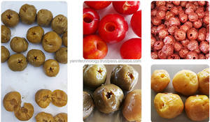 Machine à dénoyauter les dattes directement vente professionnelle automatique machine à dénoyauter les dattes cerise prune jujube olive aubépine - Product Image 6