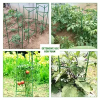 Bâtons d'escalade pour plantes de jardin, tige en acier robuste, en treillis métallique, Cage de tomate, haute qualité, pièces